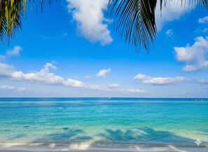 Beach - Oceanview Top Floor Beachfront West Bay Gem (West Bay)