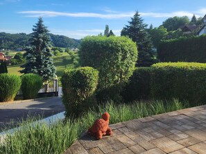 Property grounds - Villa Spa Magic by Interhome (Tuhelj)