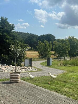 Property grounds - Private Luxury Farmhouse near Gothenburg - Pool, Sauna & Horses (Fjärås)