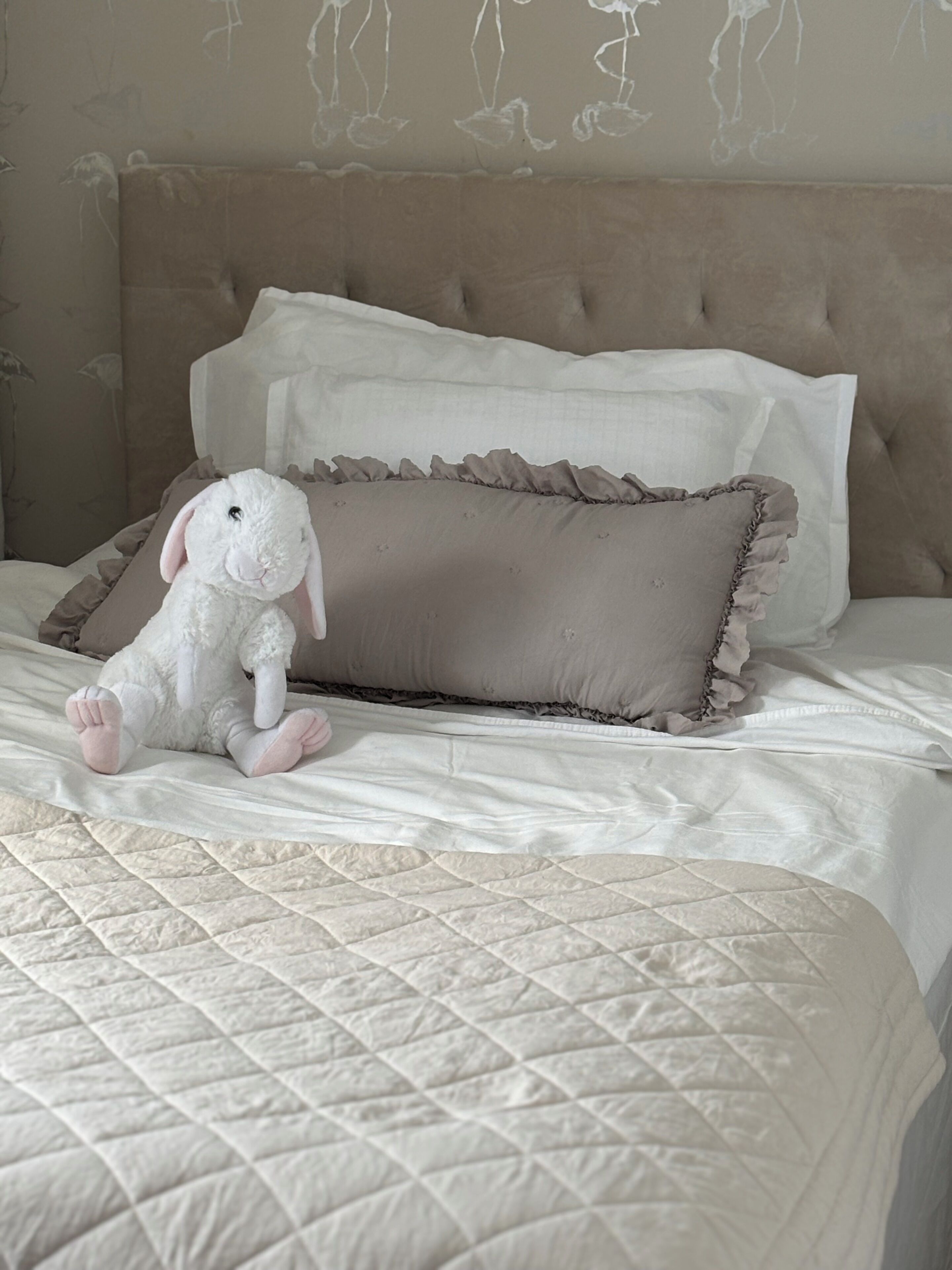 アイロン / アイロン台、WiFi、ベッドシーツ