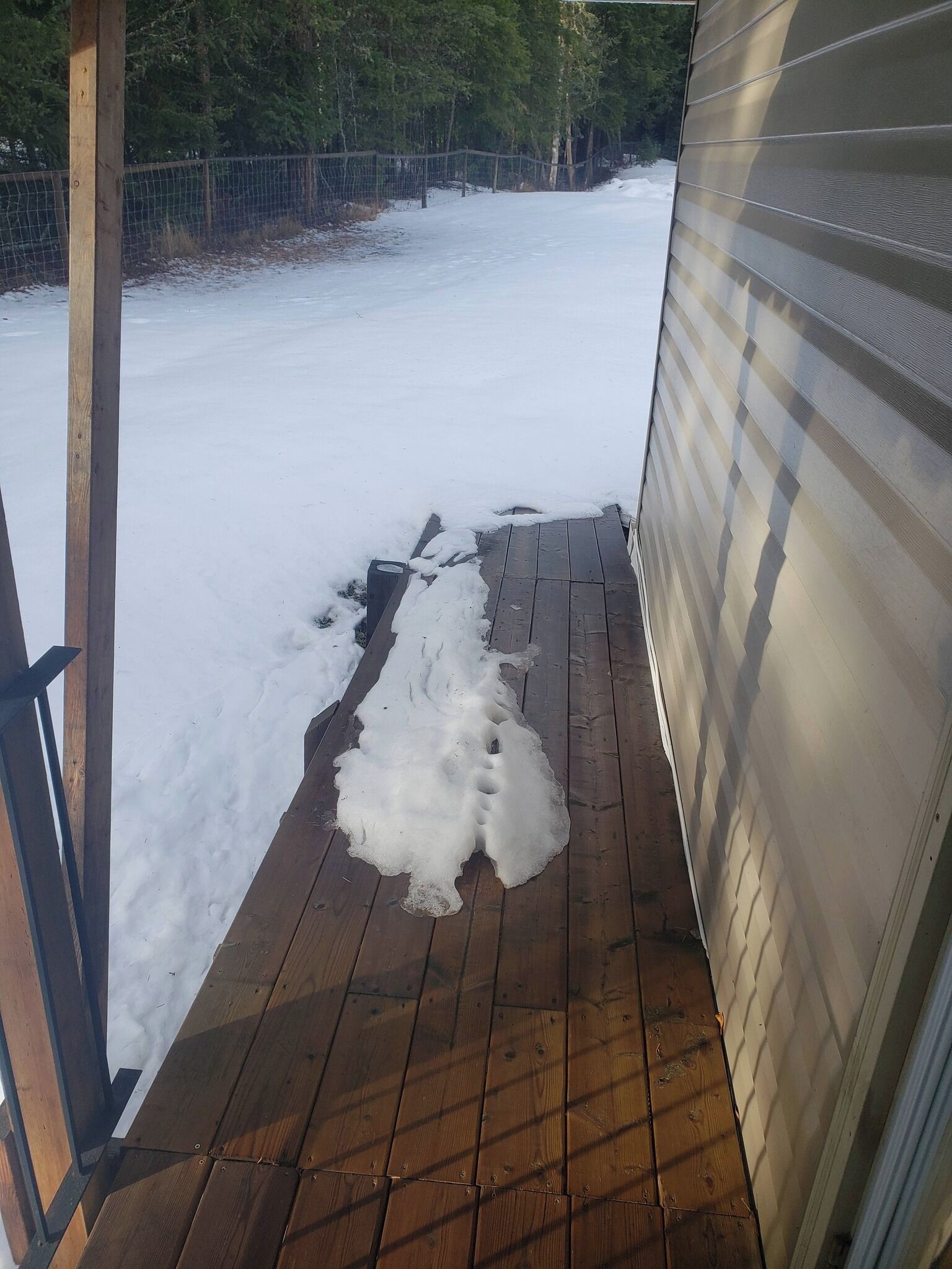 Enceinte de l’hébergement