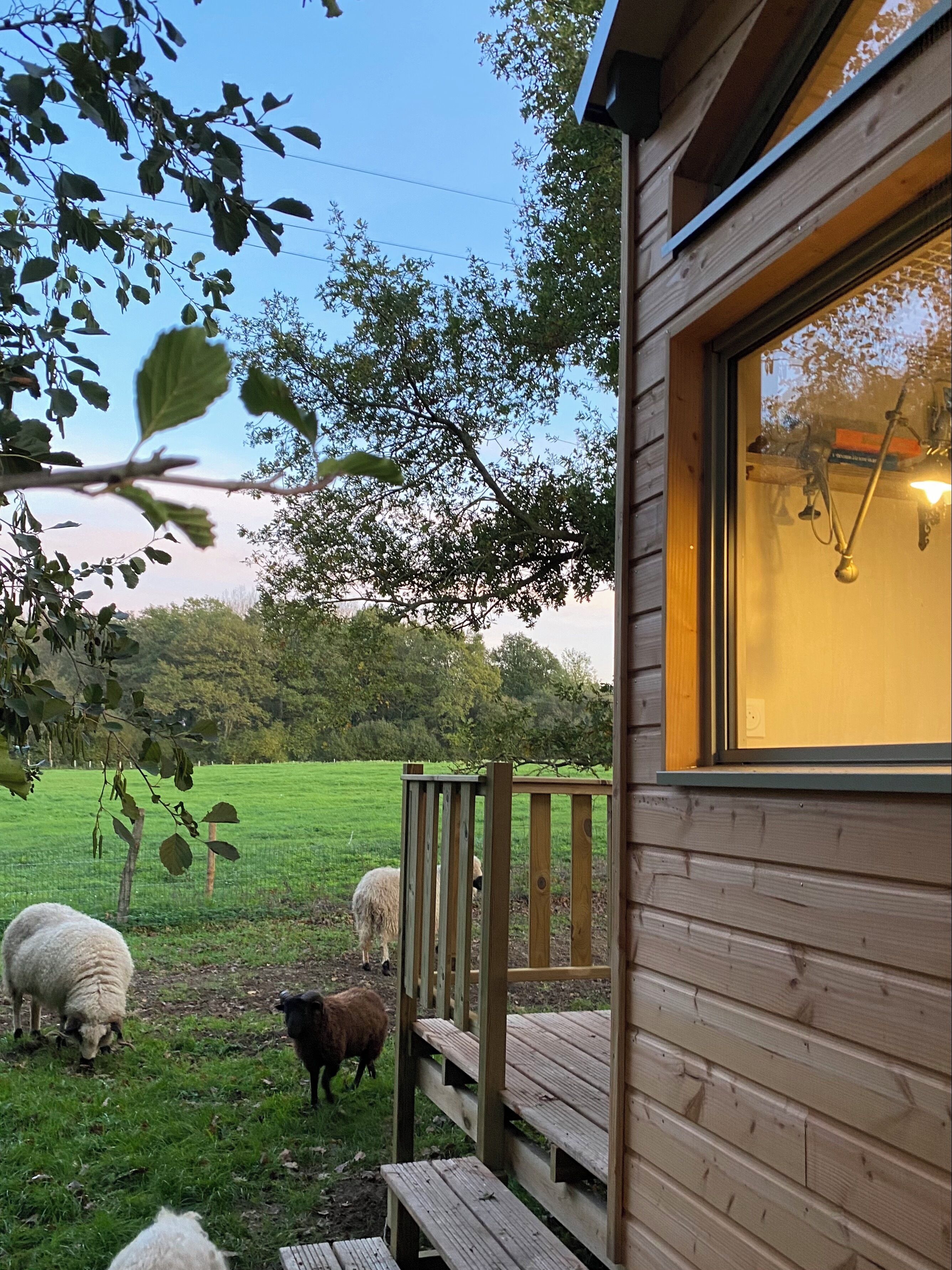 Jardines del alojamiento