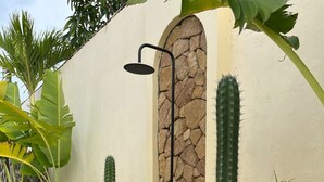 Un petit espace extérieur agrémenté d’un mur en pierre, d’un cactus et d’un pommeau de douche en métal.