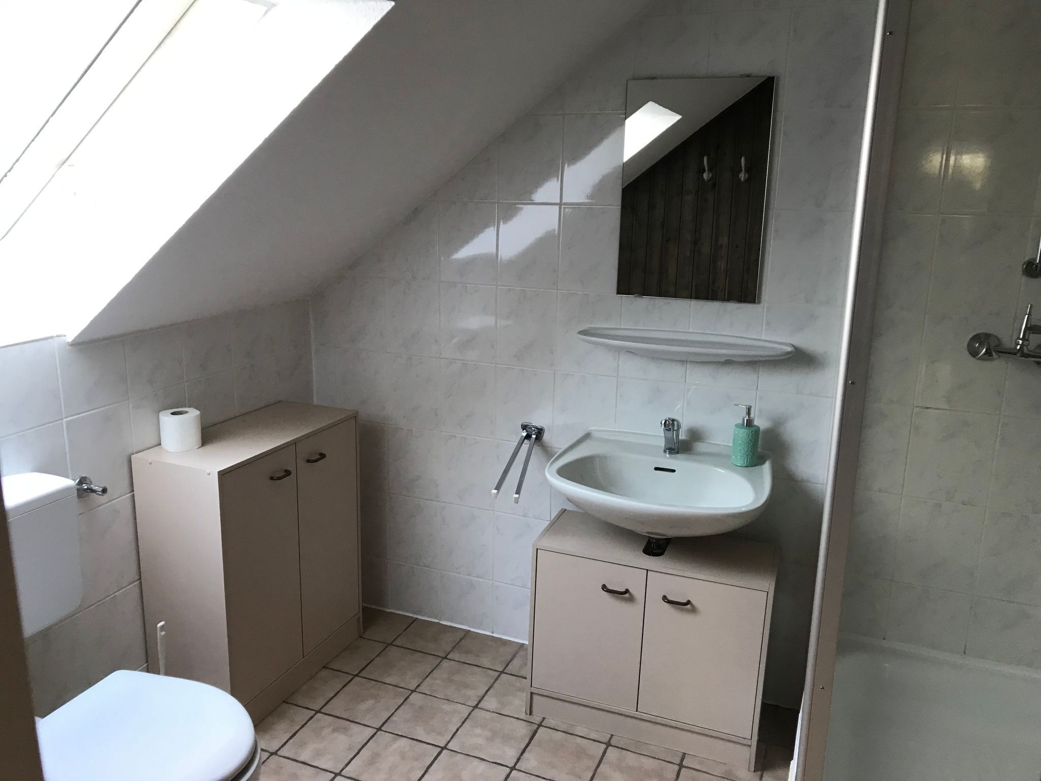 A small, modern bathroom with a skylight, a toilet, a sink, and a cabinet.