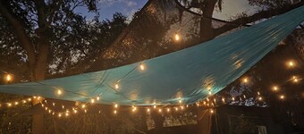 Modern Family House w/ Pool & Billiards Near Busch Gardens