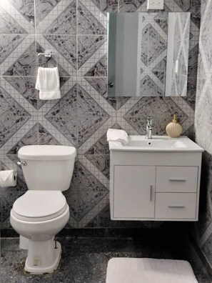 Regadera, secadora de cabello, bidet, toallas 