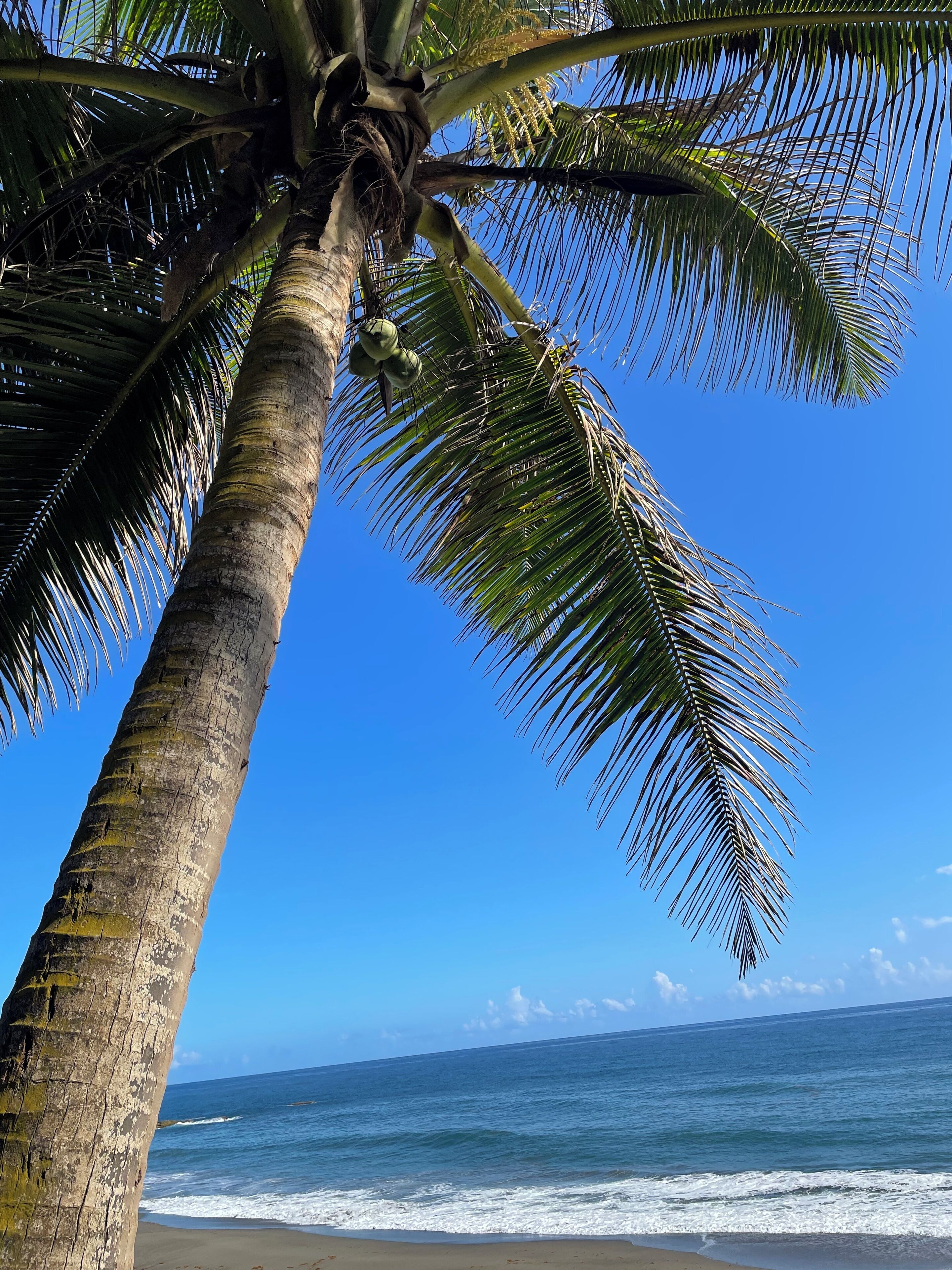 Beach nearby, beach towels