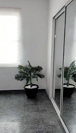 Ein Zimmer mit einem großen Spiegel, einem Fenster mit Jalousien und zwei Blumentöpfen.