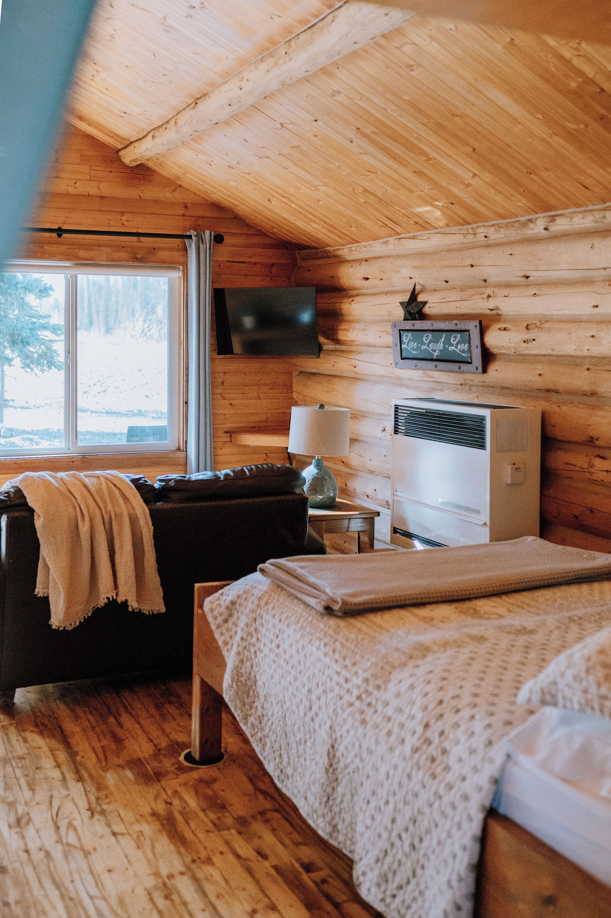 Deluxe Cabin, Patio, Mountain View | Wi-fi percuma 