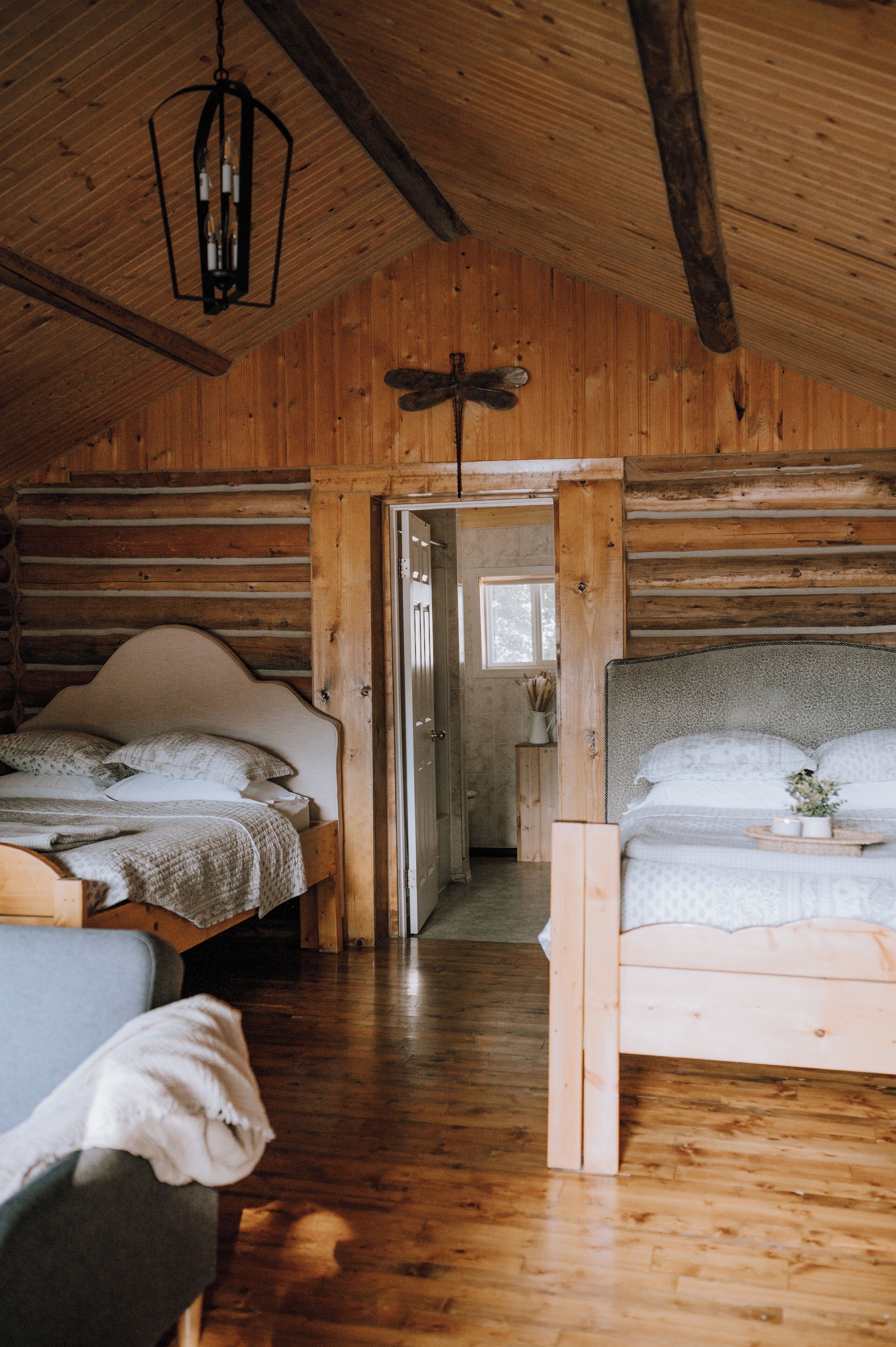 Deluxe Cabin, Patio, Mountain View | Wi-fi percuma 