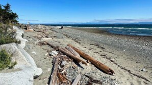 Une plage rocheuse parsemée de bois flotté, offrant une vue dégagée sur l’océan.