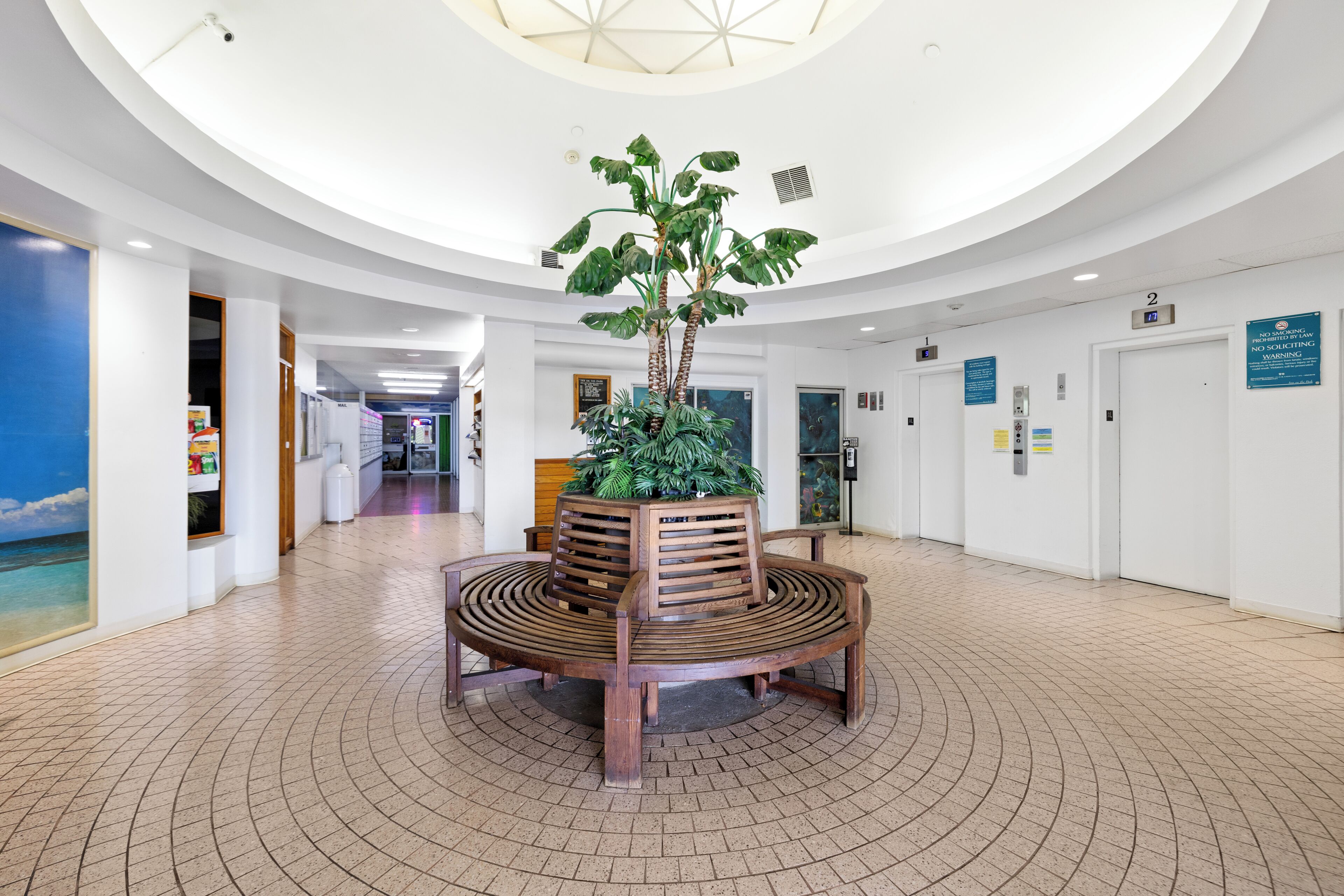 Un hall d’entrée avec un banc en bois placé au centre, une grande plante en pot et un sol carrelé de forme circulaire.