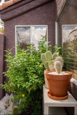 Property grounds - Vegas Designer Private Pool Oasis, King Suite, BBQ (Las Vegas)