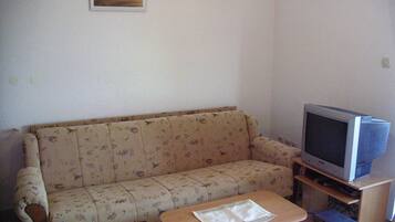 Fernseher