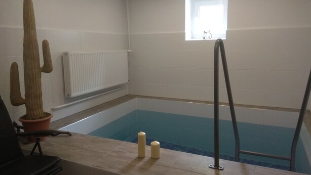 A small indoor pool with a window, a radiator, and a cactus. - Bergblick by Interhome (Sehmatal)