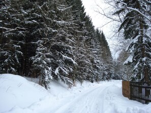 A snow-covered road flanked by dense evergreen trees. - Fewo-Dorfblick by Interhome (Sehmatal)