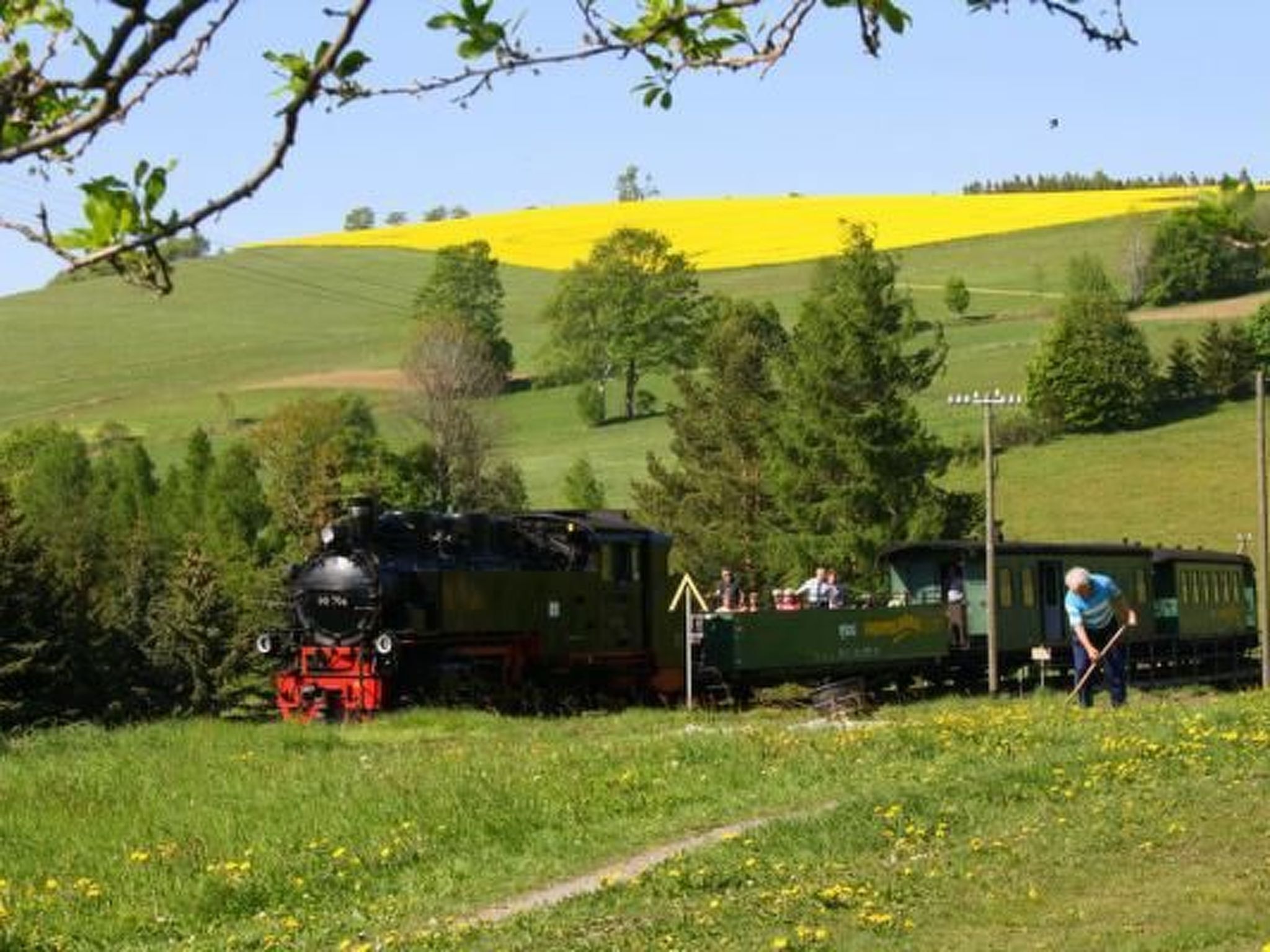 A green train with a black engine and a green car, moving on tracks through a rural landscape with yellow fields and green hills.