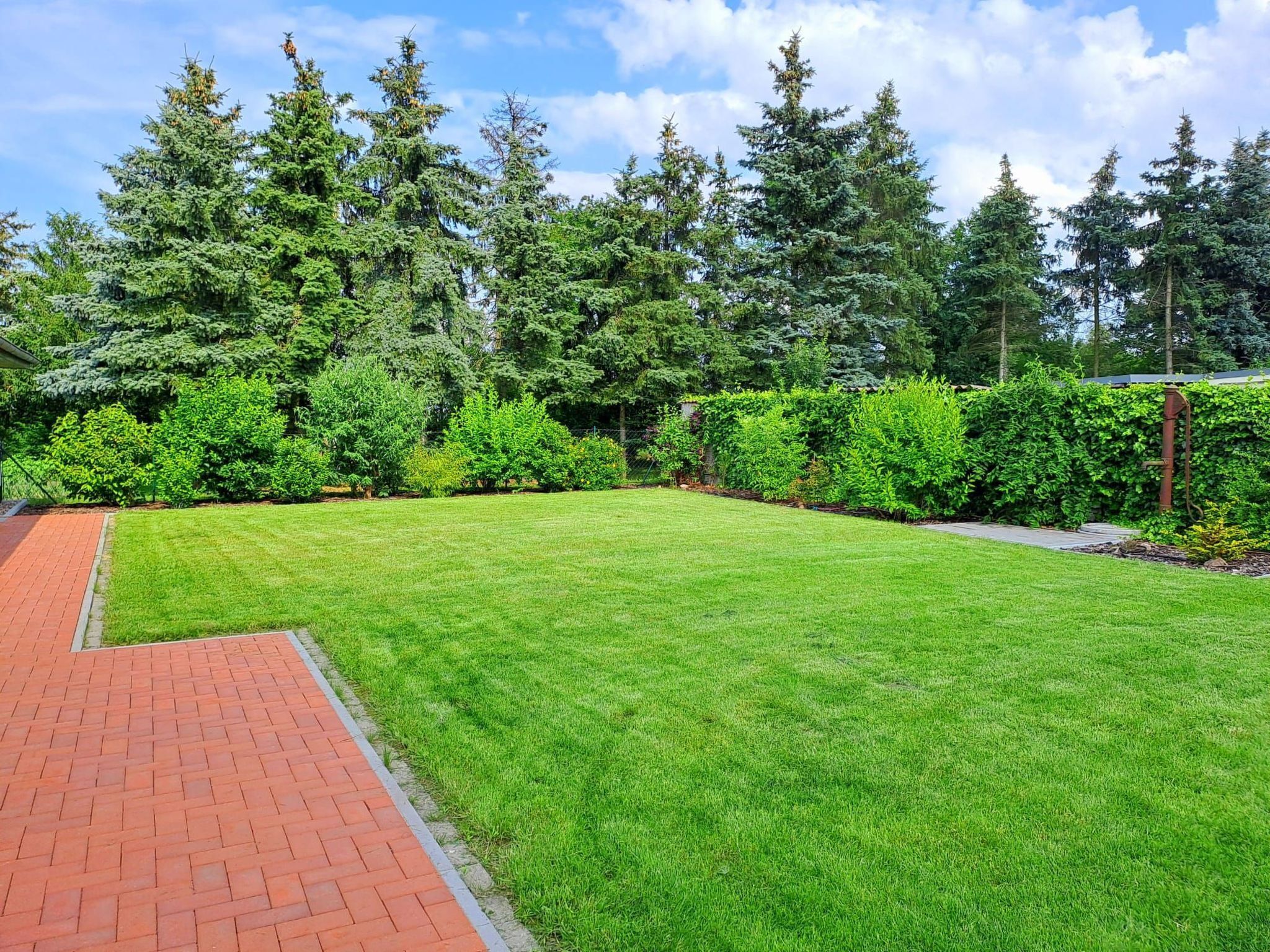 A well-maintained lawn with a brick pathway leading to a building.
