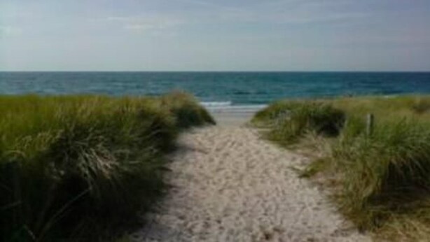 A sandy path leading to the ocean with grassy banks on either side. - 2 Raum  Graal-Müritz by Interhome (Graal Müritz)