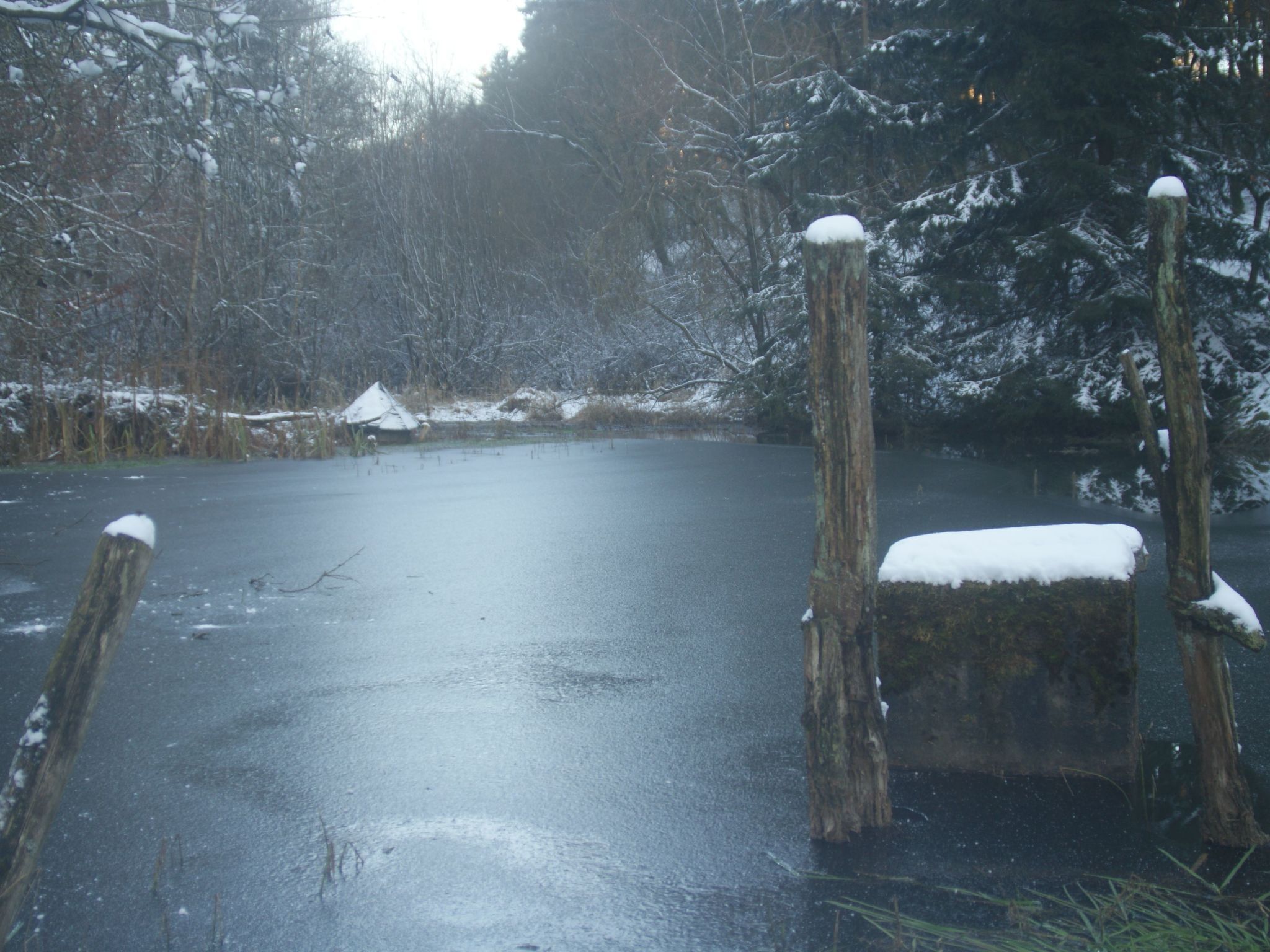 Un lac gelé, avec des arbres couverts de neige et des poteaux en bois, dans une forêt.
