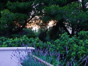 Property grounds - "Laurea" direkt am Strand by Interhome (Brač/Supetar)