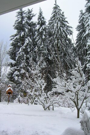 Property grounds - Harz-Haus-Bruns by Interhome (Clausthal - Zellerfeld)