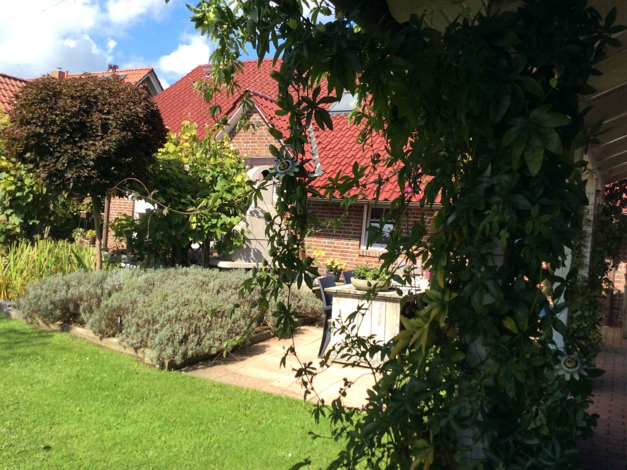 Ein Ziegelhaus mit rotem Dach, umgeben von einem gepflegten Garten mit verschiedenen Pflanzen und einem Weg zu einer Terrasse.