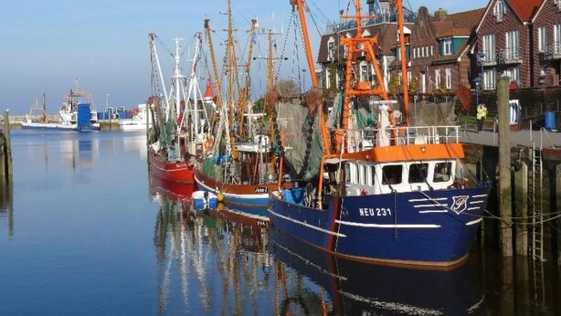 En hamn med flera fiskebåtar förtöjda, en stilla vattenyta och byggnader med röda tak i bakgrunden.