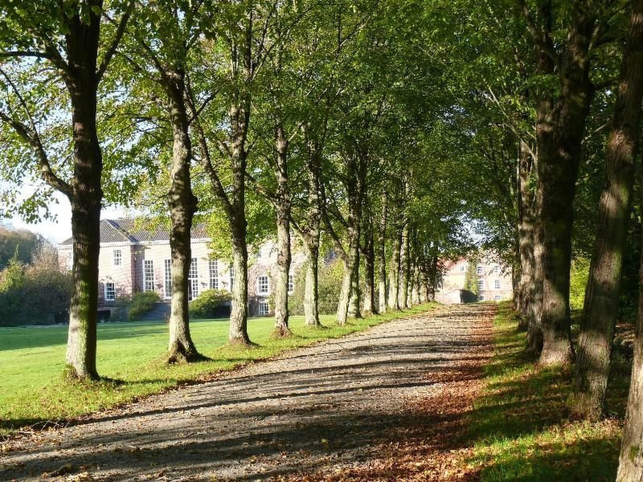 Ein von Bäumen gesäumter Weg führt zu einem Gebäude mit einer symmetrischen Fassade und großen Fenstern.
