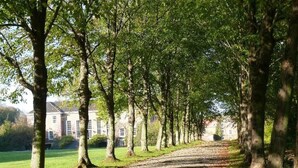 En trädbevuxen gång leder fram till en byggnad med en symmetrisk fasad och stora fönster.