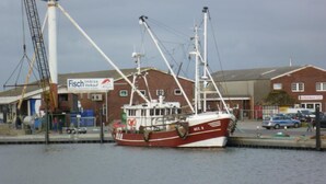 Ein Fischerboot liegt an einem Yachthafen, im Hintergrund ist ein Gebäude mit der Aufschrift "Fisch Imbiss Verkauf" zu sehen.