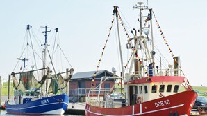 Twee vissersboten liggen afgemeerd in een jachthaven, met een gebouw op de achtergrond.