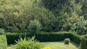Een zwembad met twee ligbedden en een tuin met verschillende struiken en bomen.