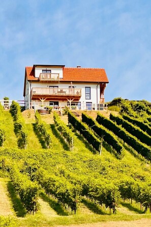 Ein zweistöckiges Haus mit Balkon, umgeben von Weinreben.