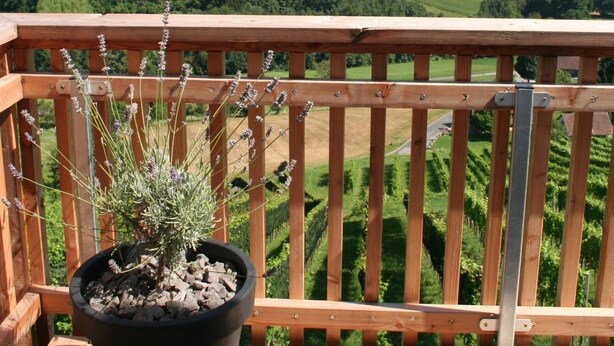 Una terraza de madera con una maceta de lavanda, con vistas a un paisaje verde con campos en terrazas y un edificio distante.