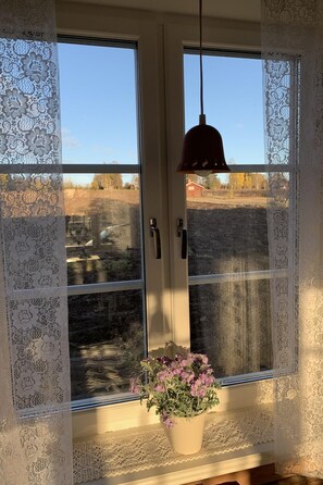 A room with a window featuring lace curtains and a potted plant with purple flowers.