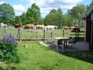 Outdoor dining - Vacation home Nymåla by Interhome (Hultsfred)