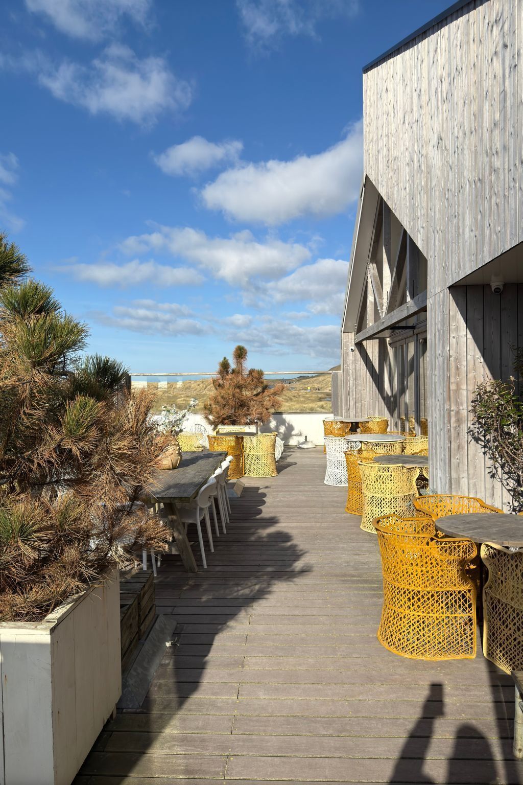 屋外ダイニングエリア