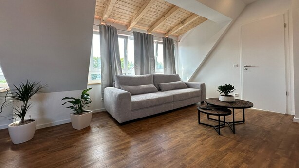 Een moderne loft slaapkamer met een schuine hemel, een grijze bank, houten vloeren en twee potplanten.