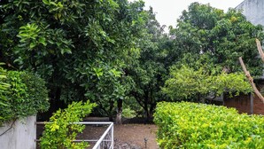 Un camí al jardí amb una barana metàl·lica, envoltat de vegetació i arbres verds i frondosos.
