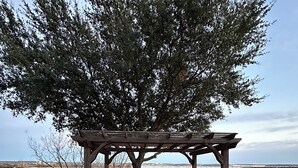 Une terrasse extérieure dotée d’une pergola, d’une table et de chaises en osier.