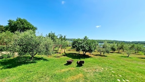 Children’s area - Beach House BET, romantisches Refugium im Olivenhain by Interhome (Pula/Banjole)