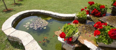 Terrain de lâhĂ©bergement