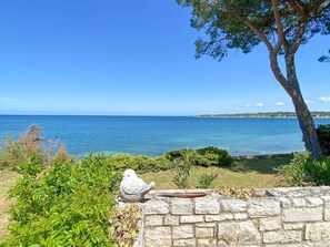 Property grounds - für 6 Personen ca. 70 m² in Dajla, Istrien (Umag und Umgebung) by Interhome (Buzinija)