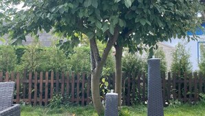 A dog walking on a gravel path with a tree and a wooden fence in the background. - Haus Moony by Interhome (Wervershoof)