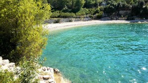Ranta