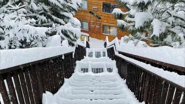 Una scala di legno conduce a una baita circondata da alberi innevati.