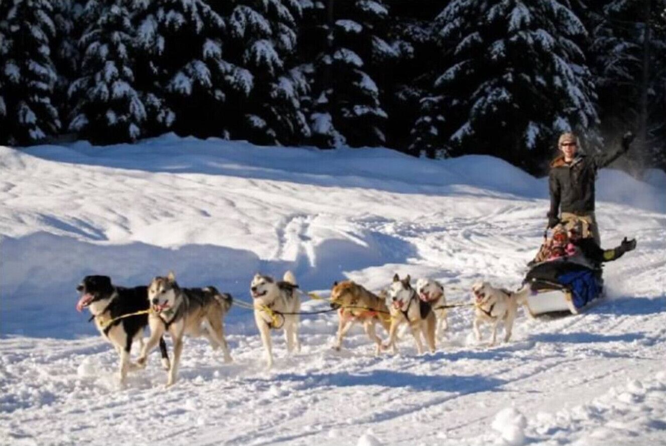 Una persona montando un trineo tirado por perros a través de un terreno cubierto de nieve, con árboles al fondo.
