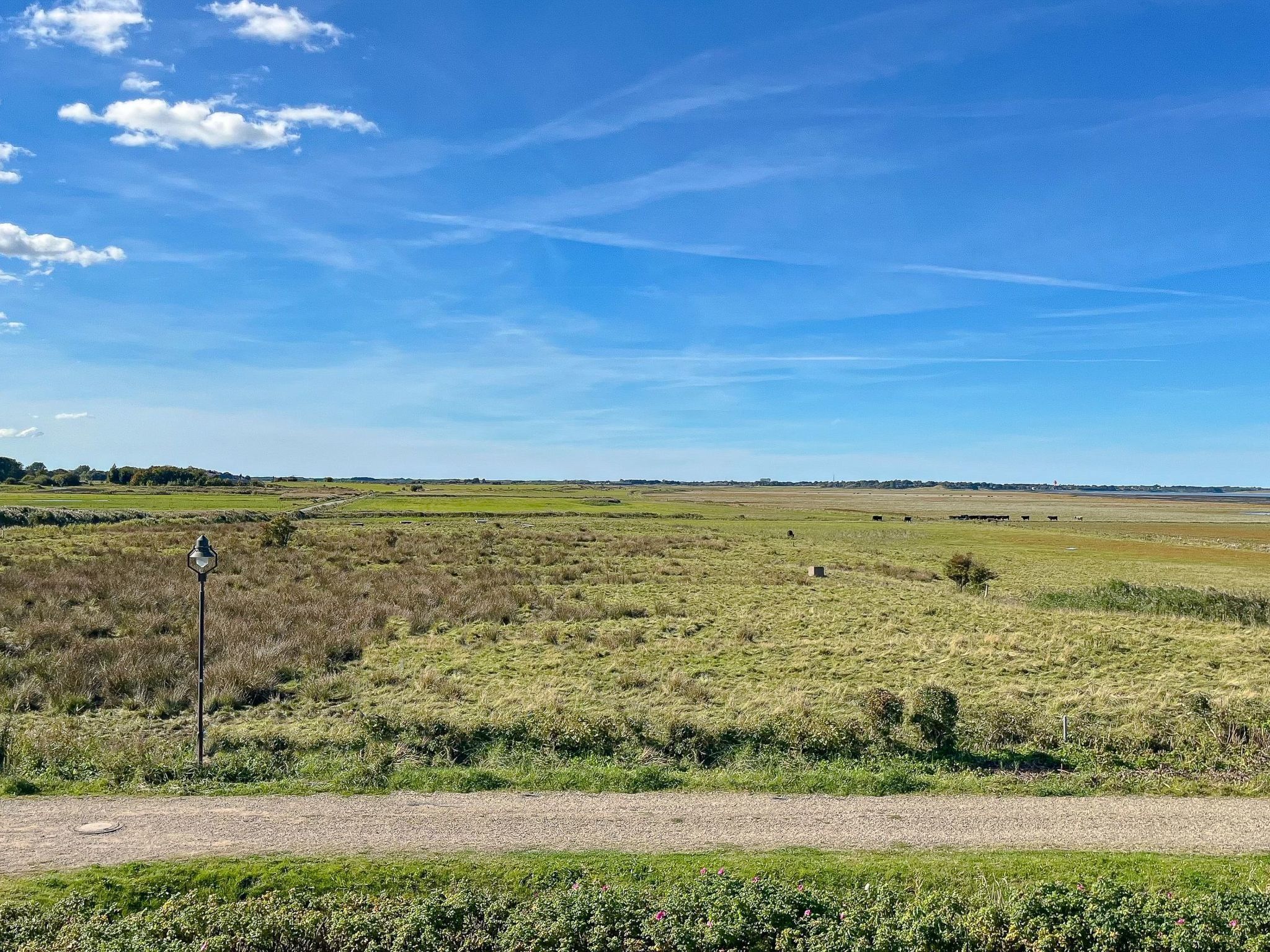 Een landelijk landschap met een heldere lucht, een grindpad en verre velden.