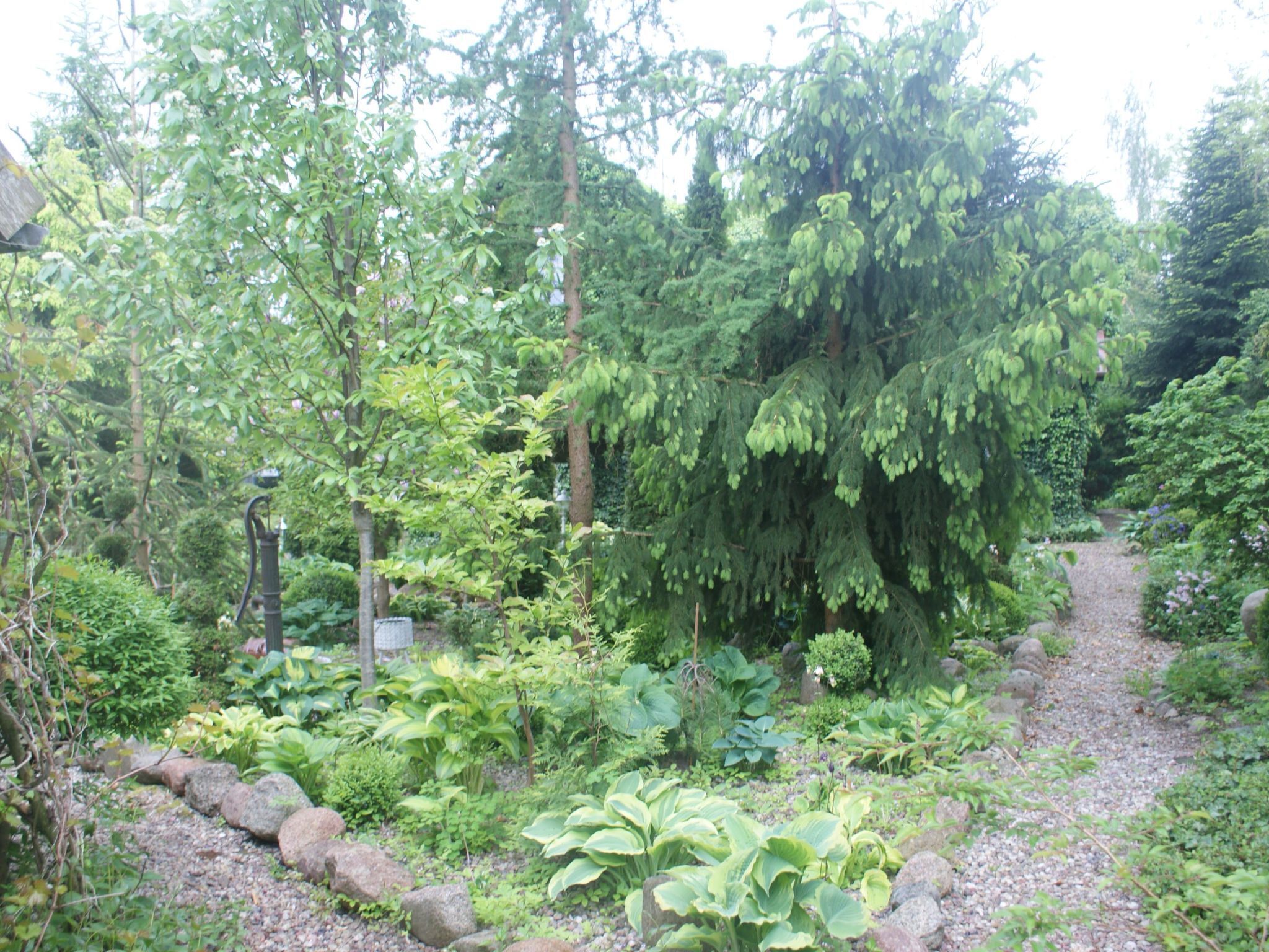 Un jardín con un camino de grava, diversas plantas y árboles.